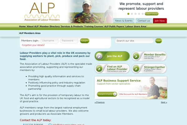 Alp theme site design template sample
