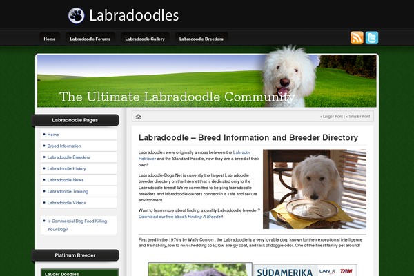 labradoodle-dogs.net site used Royalwordpress-blue