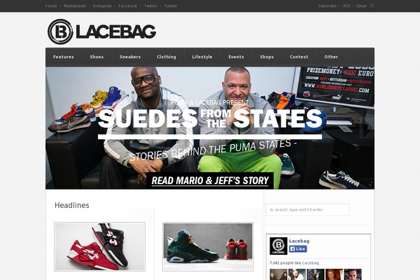 lacebag.nl site used Lcbg4