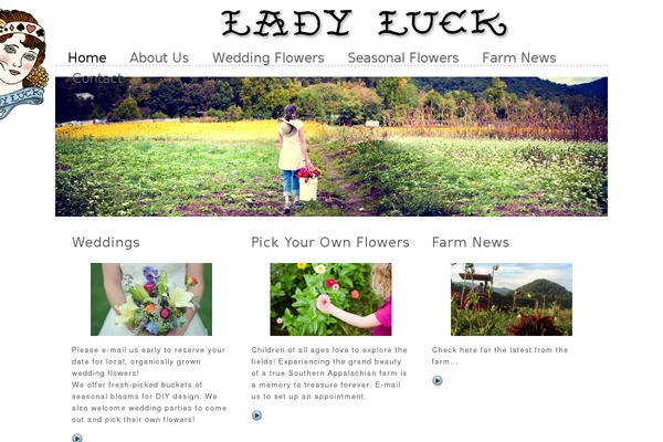Site using FancyBox plugin