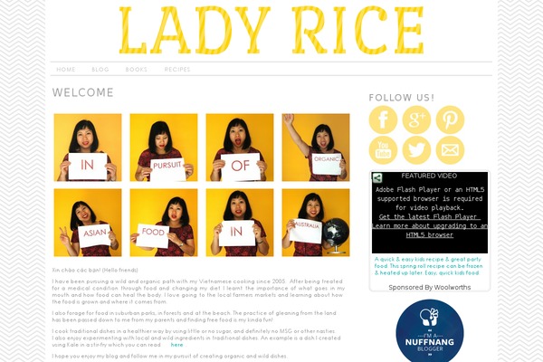 ladyrice.com site used Hello-yellow-wordpress