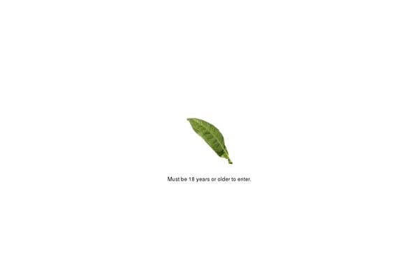 Avada_3.3.1 theme websites examples