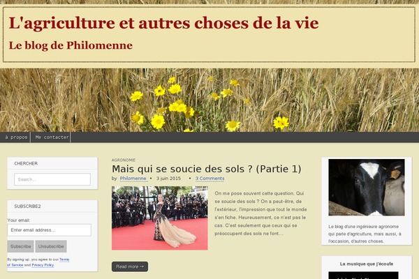 Magazine Basic theme site design template sample