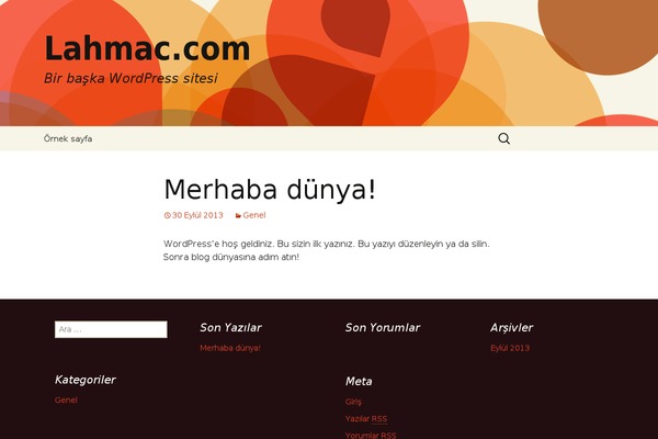 WordPress website example screenshot