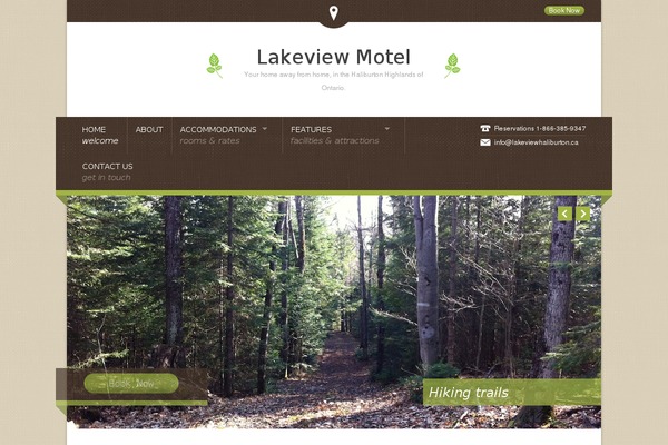 Nice Hotel theme site design template sample