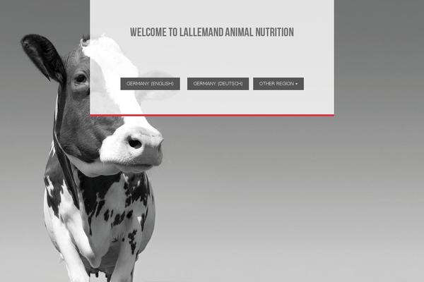 lallemand2013asset theme websites examples