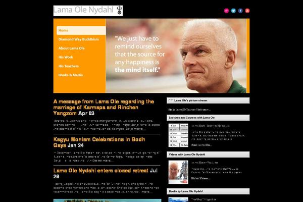 lon WordPress theme, websites list used lon theme lon theme websites examples