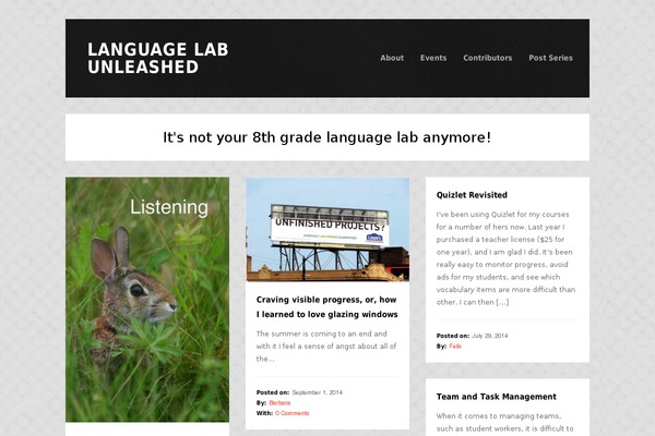 languagelabunleashed.org site used Tetris