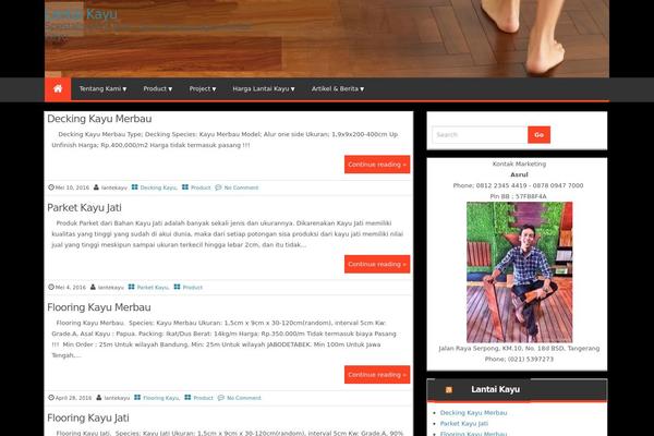 WordPress website example screenshot
