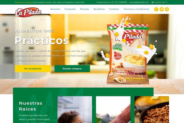 WordPress website example screenshot