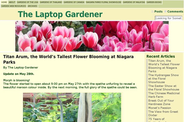 WordPress website example screenshot
