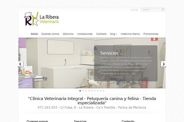 Chameleon theme site design template sample