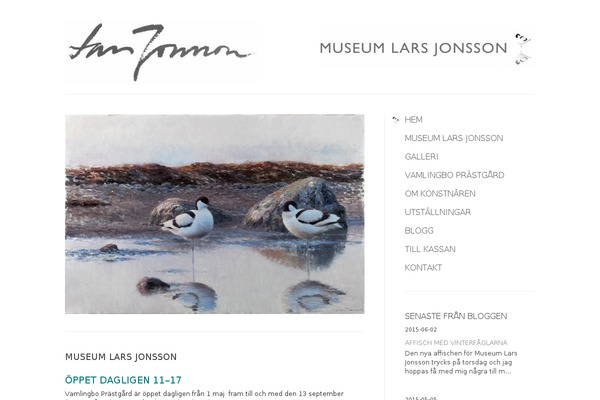 Divi theme site design template sample