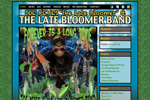 latebloomerband.com site used Latebloomerband