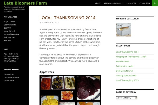 WordPress website example screenshot
