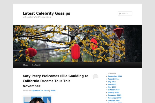 WordPress website example screenshot