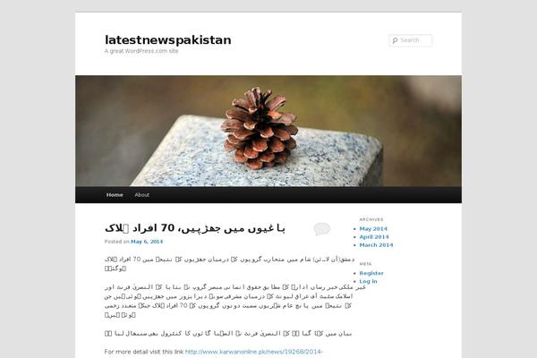 WordPress website example screenshot