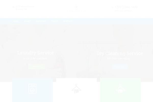 Laundry theme site design template sample