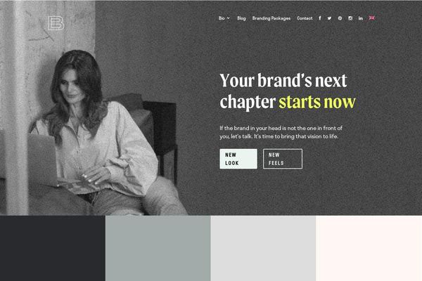 Site using Awesome Color Palettes plugin