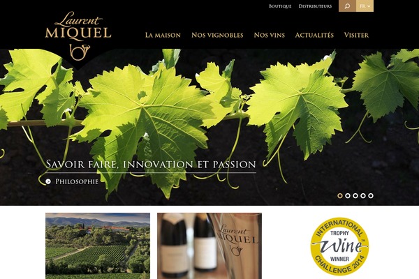 Site using Better WordPress Minify plugin