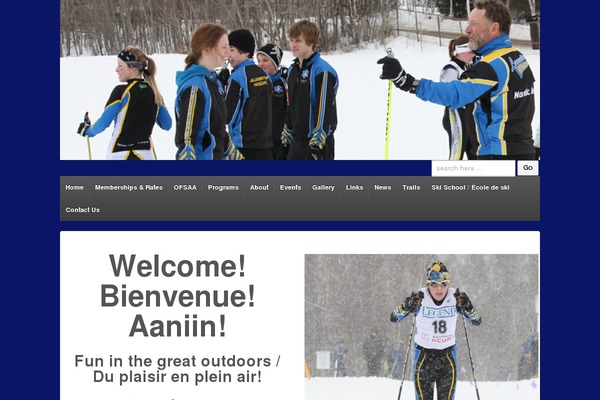 WordPress website example screenshot