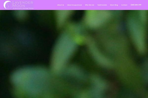 Bridge theme site design template sample