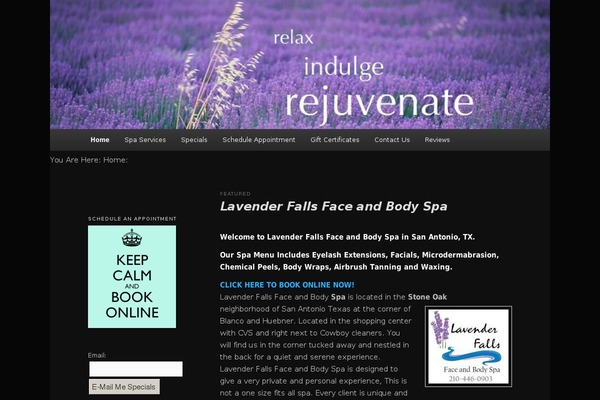 lavenderskinspa.com site used Twenty Eleven