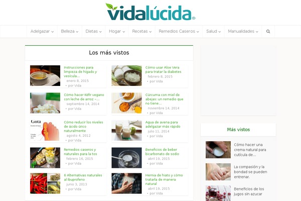 lavidalucida.com site used VoiceChild
