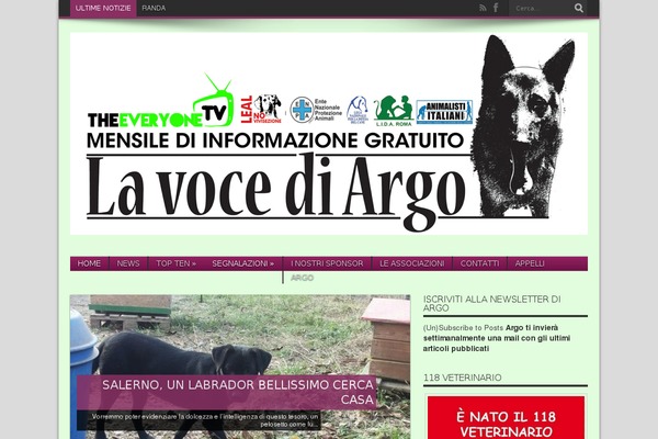 WordPress website example screenshot