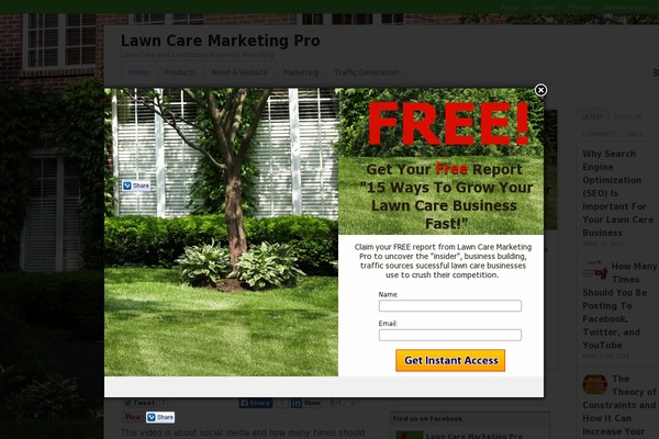 Canvas theme site design template sample