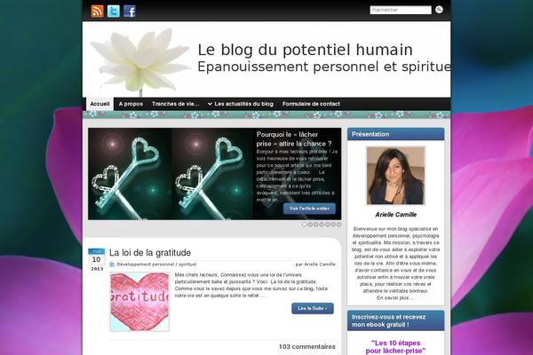 le-blog-du-potentiel-humain.fr site used Graphene-child