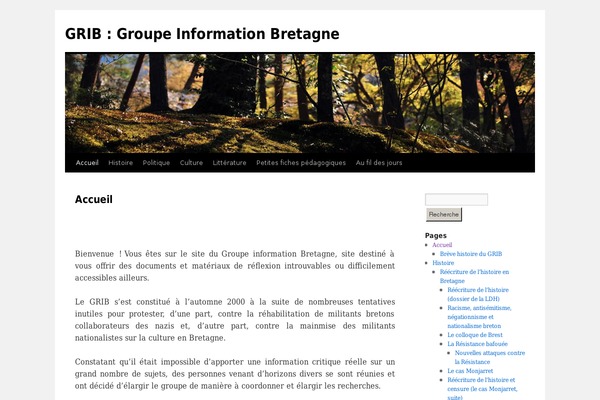 Twenty Ten theme site design template sample