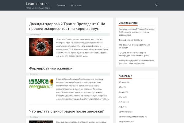 lean-center.ru site used VT Blogging