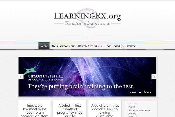 learningrx.org site used Magnificent-child