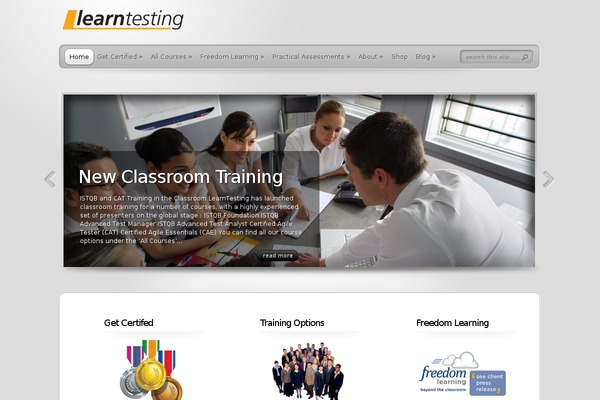 learntesting.com site used Theprofessional_2.1