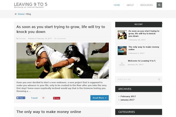 Mts_steadyincome theme site design template sample