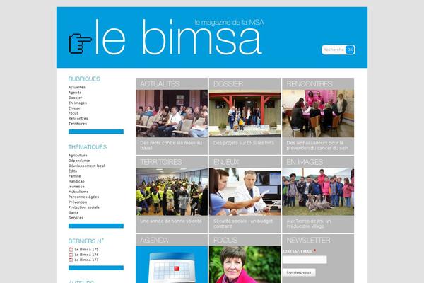 Msa theme site design template sample
