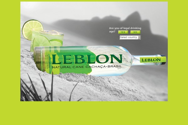 leblon theme websites examples