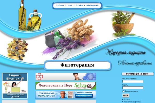 Site using Wp-yandex-metrika plugin