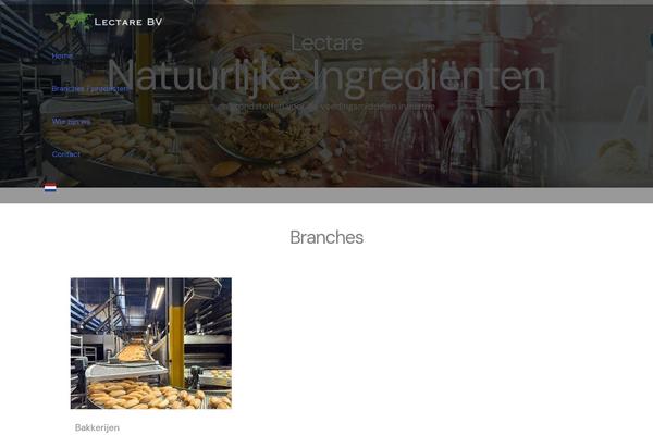 Astra theme site design template sample