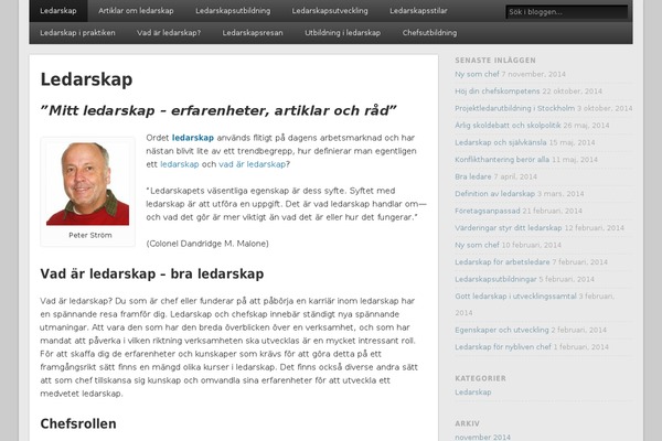 WordPress website example screenshot