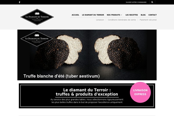 The Retailer theme site design template sample