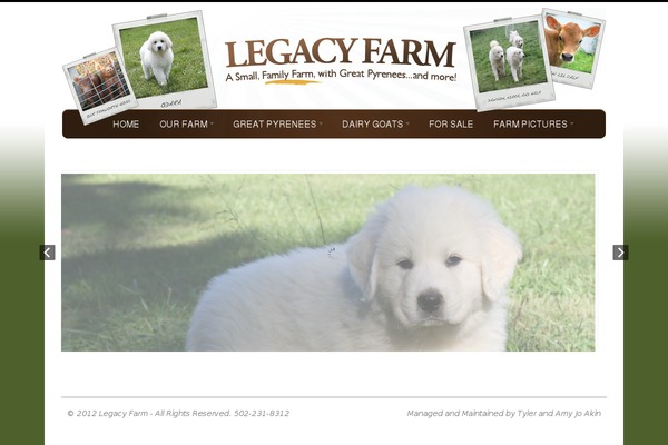 Canvas theme site design template sample