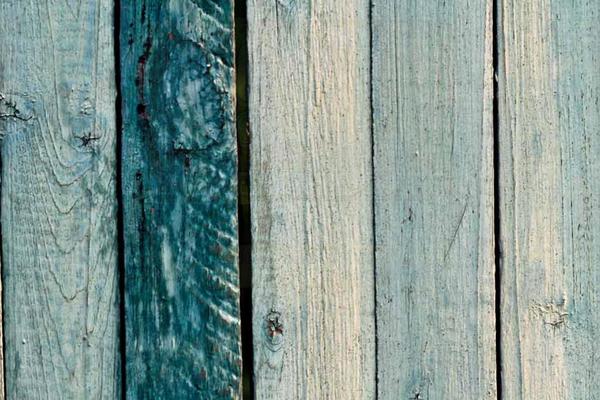 Site using Bloom plugin