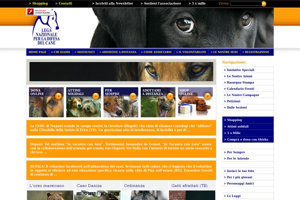 ldc theme websites examples