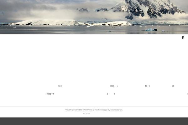 Beluga theme site design template sample