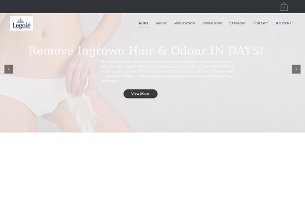 WordPress website example screenshot