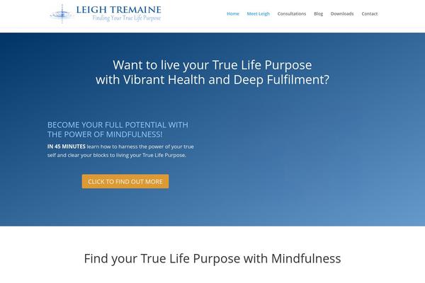 Divi Child theme site design template sample