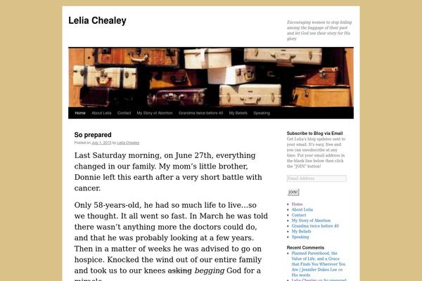 WordPress website example screenshot