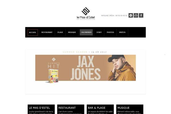 styleo theme websites examples